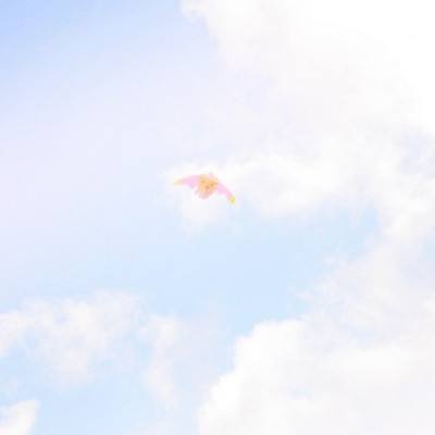 a project手游
